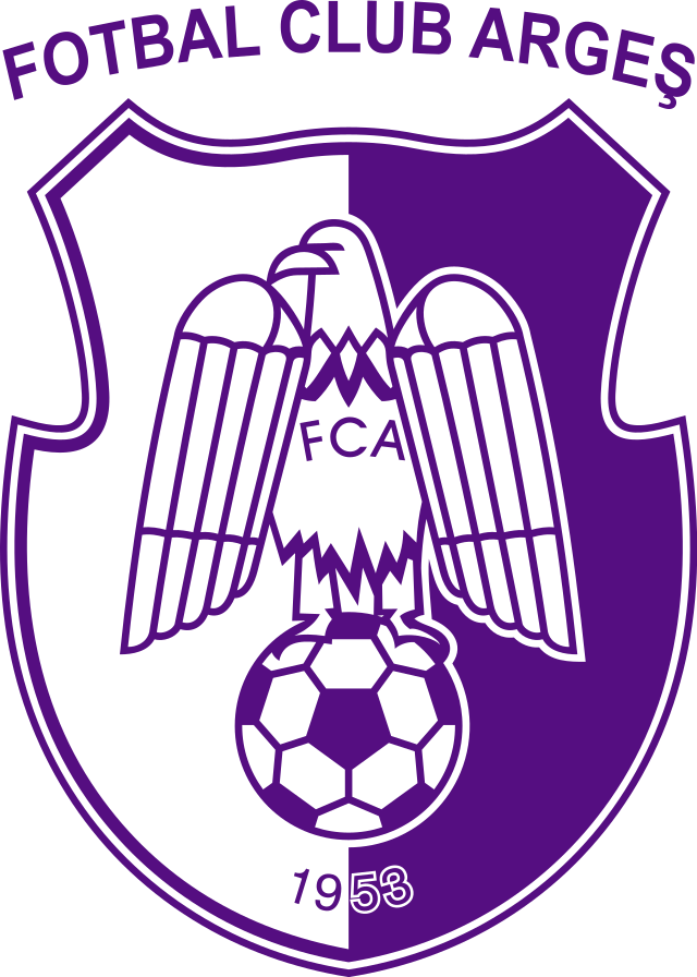 Logo ACS Campionii FC Arges