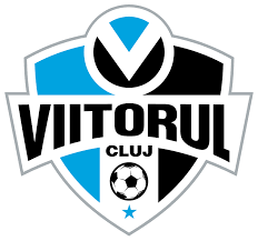 Logo ACS Academia de Fotbal Viitorul Cluj U18